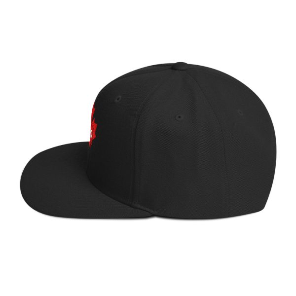 Snapback Hat - Image 5